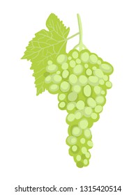 grape fruit green illustration
 