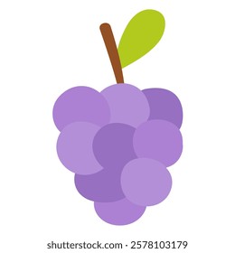 Grape. Fruit. Hand drawn vector illustration on white background.