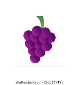 Grape fruit icon, colored flat vector. Modern and minimalist design.
