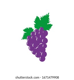 Grape fruit icon design template vector isolated illustration