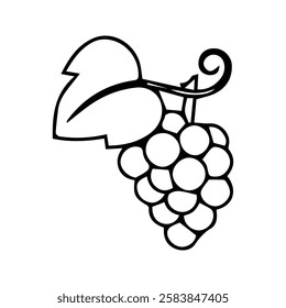 Grape Fruit Icon. Illustration of Fresh Grapes. Grape Farming.