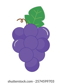 grape fruit icon isolated design