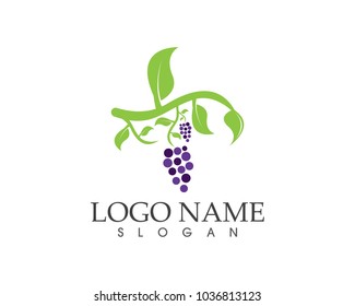 Grape fruit icon sign logo