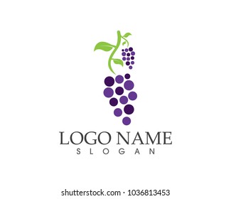 Grape fruit icon sign logo