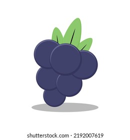 grape fruit icon vector illustration, good for food, fruit theme theme