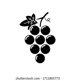 Grape fruit icon vector isolated template