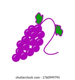 Grape fruit icon vector isolated template