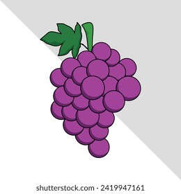 grape fruit illustration 2d flat graphic