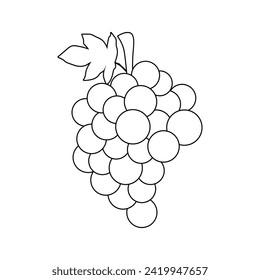 grape fruit illustration 2d flat graphic outlined
