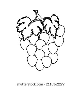 Ilustración de frutos de uva con contorno negro - Vector