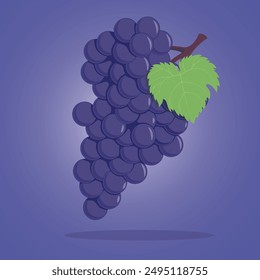 Grape fruit illustration, the main object separate from the background