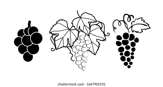 Grape fruit illustration silhouette isolated on white