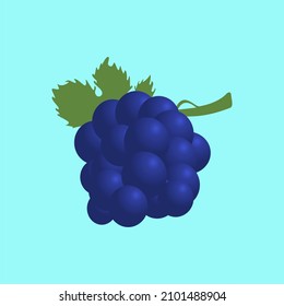 grape fruit illustration wall interior