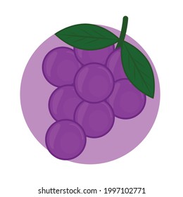 grape fruit illustration, white color background