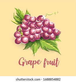 Grape fruit with leaf, water color paint by hands drawn over green as food background. Vector painting design