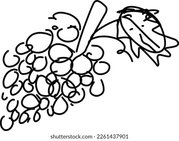 grape fruit line art sketch doodle wall decor black line hand drawing