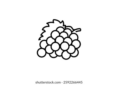 Grape fruit line outline icon concept design isolated on white background.
