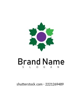grape fruit logo design symbol organic