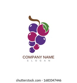 Grape fruit logo flat vector template icon illustration design