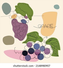 grape fruit one line draw art