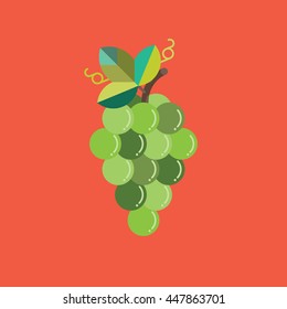 Grape Fruit Orange Background Icon Vector