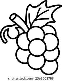 Grape fruit outline coloring book page and digital line art