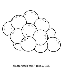 grape fruit outline vector illustration,isolated on white background,fruits top view