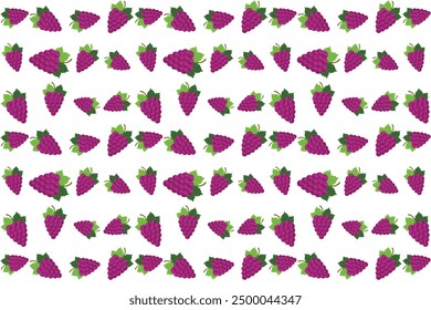 Grape fruit seamless pattern design in white, purple and green colors. Illustration of a grape vector pattern collection in minimalist style.