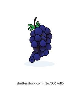 grape fruit vector. grape icon