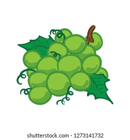 Grape Fruit vector Illustration