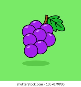 Grape fruit vector illustration isolated on green background. Linear color style of grape fruit icon