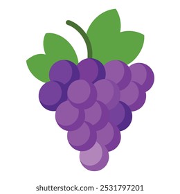 Fruto de uva Ilustração vetorial isolada sobre fundo branco