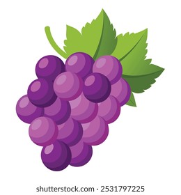 Fruto de uva Ilustração vetorial isolada sobre fundo branco