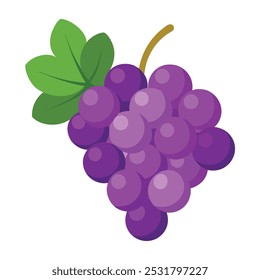 Ilustración vectorial de fruta de uva aislada sobre fondo blanco