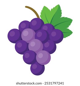 Fruto de uva Ilustração vetorial isolada sobre fundo branco