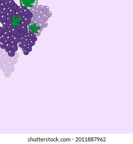 grape fruit vector illustration for summer greeting card background