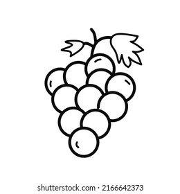 grape fruit vector with simple design