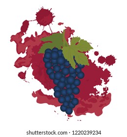 grape fruit and wine splash