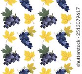 Grape fruits autumn harvest seamless pattern. Bunches with fresh blue grapes and leaves on white background design used for wrapping paper, cards, banners, wine packages, menus. Vector illustration.