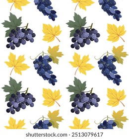 Frutos de uva outono colheita sem costura padrão. Cachos com uvas azuis frescas e folhas em design de fundo branco usado para embrulhar papel, cartões, banners, pacotes de vinho, menus. Ilustração vetorial.