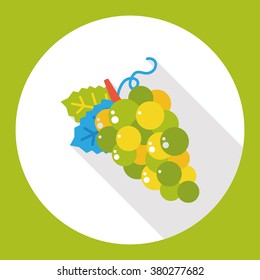 grape fruits flat icon