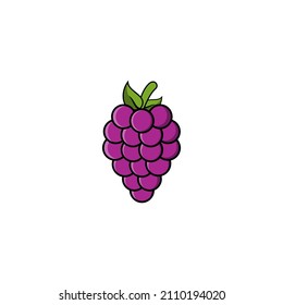 Grape fruits icon vector design templates on white background
