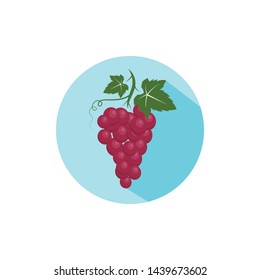 Grape fruits with leaf icon vector illustrtion  template