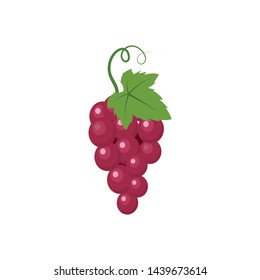 Grape fruits with leaf icon vector illustrtion  template