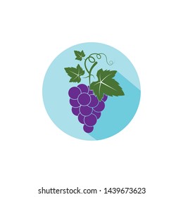 Grape fruits with leaf icon vector illustrtion  template