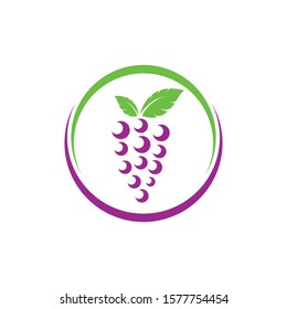 Grape fruits with leaf icon vector illustrtion  template