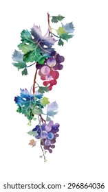 Grape garland, eps 8