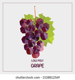 The grape of the geometric shapes of triangles