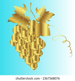 grape gold fruit