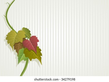 grape green leaves composition. Detailed vector illustration.
